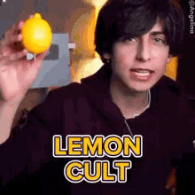 Lemon Cult Aidan Aidan Lemon Cult GIF - Lemon Cult Aidan Aidan Lemon Cult Lemons Aidan GIFs