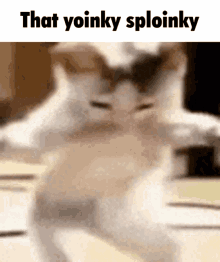 That Yoinky GIF - That Yoinky Yoink GIFs