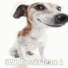 5wc Russia Team A GIF - 5wc Russia Team A GIFs