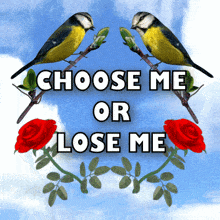 choose me or lose me select me all or nothing birds red roses