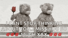 two teddy bears are standing next to each other with a rose in their hand .
