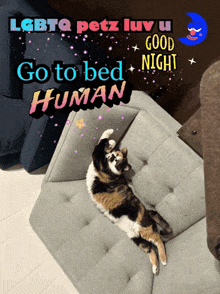 a calico cat laying on a couch with a good night message