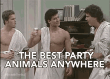 The Best Party Animals Anywhere Party People GIF - The Best Party Animals Anywhere Best Party Animals Party Animals GIFs