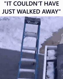 It Couldnt Have Just Walked Away Walking GIF - It Couldnt Have Just Walked Away Walked Away Walking GIFs