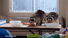Raccoon Superstore GIF - Raccoon Superstore Eating GIFs