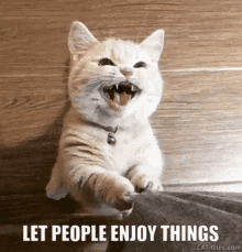 Let People Enjoy Things Cat GIF - Let People Enjoy Things Cat Begging GIFs