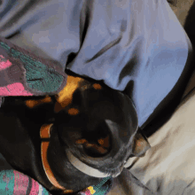 Another Nap Time GIF - Another Nap Time GIFs