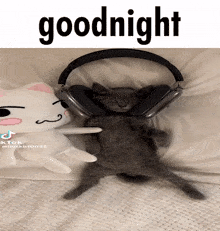 Sleepy Goodnight GIF - Sleepy Goodnight Cat GIFs