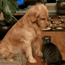 Good Afternoon GIF - Good Afternoon Morning GIFs