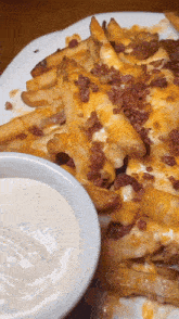 Bacon Cheese Fries Food GIF - Bacon Cheese Fries Fries Food GIFs