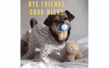 Goodnight Sleep GIF - Goodnight Sleep Bye Friends GIFs