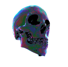 skull mouth anatomy laugh skeleton