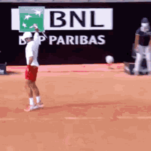 Novak Djokovic Racquet Smash GIF - Novak Djokovic Racquet Smash Racket GIFs
