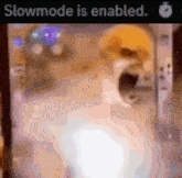 a blurred image of a dog with the words slowmode is enabled above it