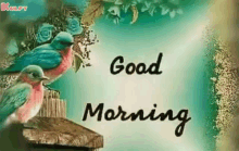 Good Morning Have A Nice Day GIF - Good Morning Have A Nice Day Greetings GIFs