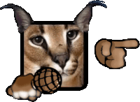 a cat is holding a microphone and pointing
