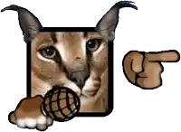 a cat is holding a microphone and pointing