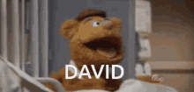 David David Screaming GIF - David David Screaming Screaming GIFs