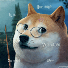Doge Dogecoin GIF - Doge Dogecoin Wizard GIFs