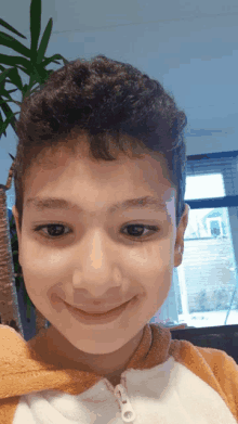 a young boy with curly hair is smiling for the camera with a plant in the background