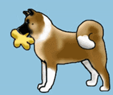 Akita Dog GIF