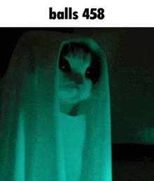 a cat is covered in a green cloth and the text balls 458 is above it