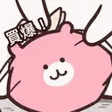 a pink teddy bear with chinese writing on it is being held by a person .