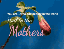 Mommy Mothers Day GIF - Mommy Mothers Day Happy Mothers Day GIFs