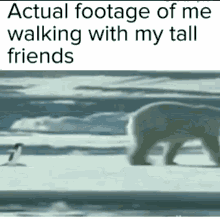 Lol Actual Footage Of Me Walking With My Tall Friends GIF - Lol Actual Footage Of Me Walking With My Tall Friends Shorty GIFs