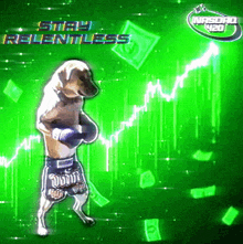a dog with boxing gloves stands in front of a green background with the words stay relentless on it