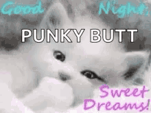 Sweet Dreams Punky Butt GIF - Sweet Dreams Punky Butt GIFs