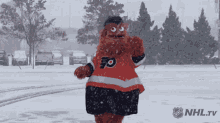 Philadelphia Flyers Gritty GIF - Philadelphia Flyers Gritty Snowing GIFs