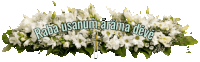 a bunch of white flowers with the words " raha usanum arama deve "
