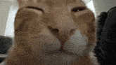 Cat Funny Cube GIF - Cat Funny Cube Google Slides GIFs