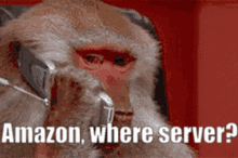 Amazon Server GIF - Amazon Server GIFs