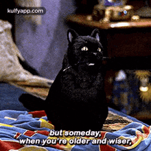 But Someday,When You'Re Older And Wiser.Gif GIF