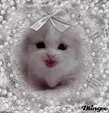 Kitten Blingee GIF - Kitten Blingee Baby GIFs