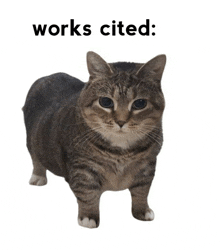 Works Cited Cat GIF - Works Cited Cat GIFs