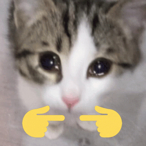 Sad Cat Uwu Uwu GIF - Sad Cat Uwu Sad Cat Uwu - Discover & Share GIFs