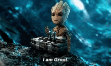 Real Groot I Am Groot GIF