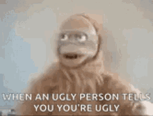 Ugly Monkey GIF - Ugly Monkey Rude GIFs