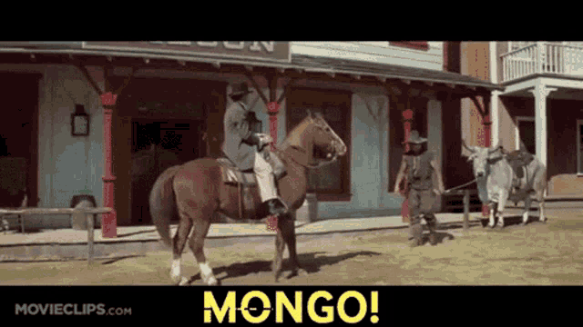 blazing-saddles-mongo.gif