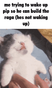 a cat laying on its back with a caption that says me trying to wake up