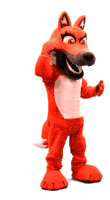 Red Canids Red Sticker - Red Canids Red Rufus Stickers