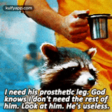 i need his prosthetic leg. godknows idon%27t need the rest ofhim. look at him. he%27s useless. mammal animal raccoon person