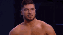 a shirtless man with a beard is looking at the camera .
