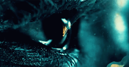 Exploding Eye Carnage GIF - Exploding Eye Carnage Blitzkrieg - Discover ...
