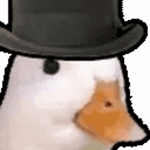 duck quack howdy duckhowdy sir