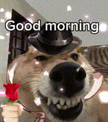 a dog wearing a top hat is holding a rose and saying good morning