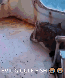 Glaggleland Giggle Fish GIF - Glaggleland Giggle Fish Funny Fish GIFs